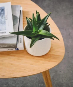 vgt volcanicblack hallwaylivingroom blogcameo cm