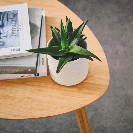 vgt volcanicblack hallwaylivingroom blogcameo cm