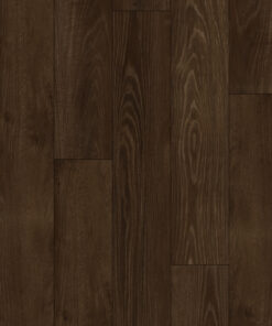 colosseum stable oak x