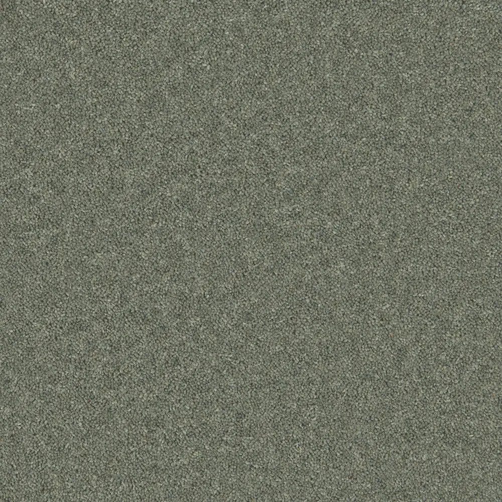 Timeless Soft Seaweed