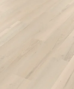 norfolk acacia kp a cm