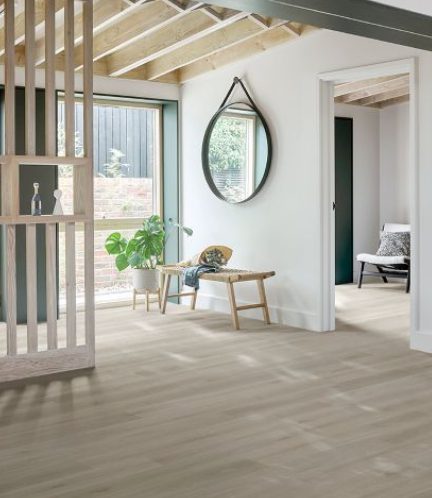 victoria puddle plank