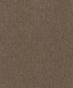 Paragon Vital Nordic Clay scaled