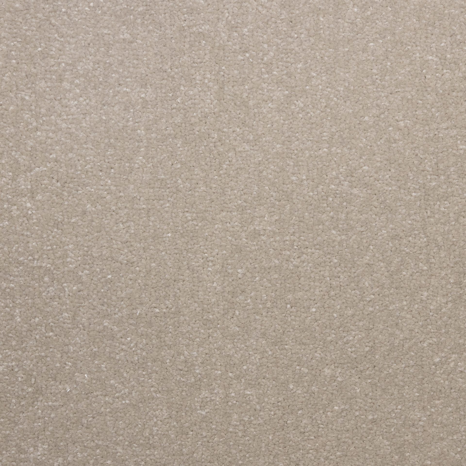 Lazio ( Sea Shell)