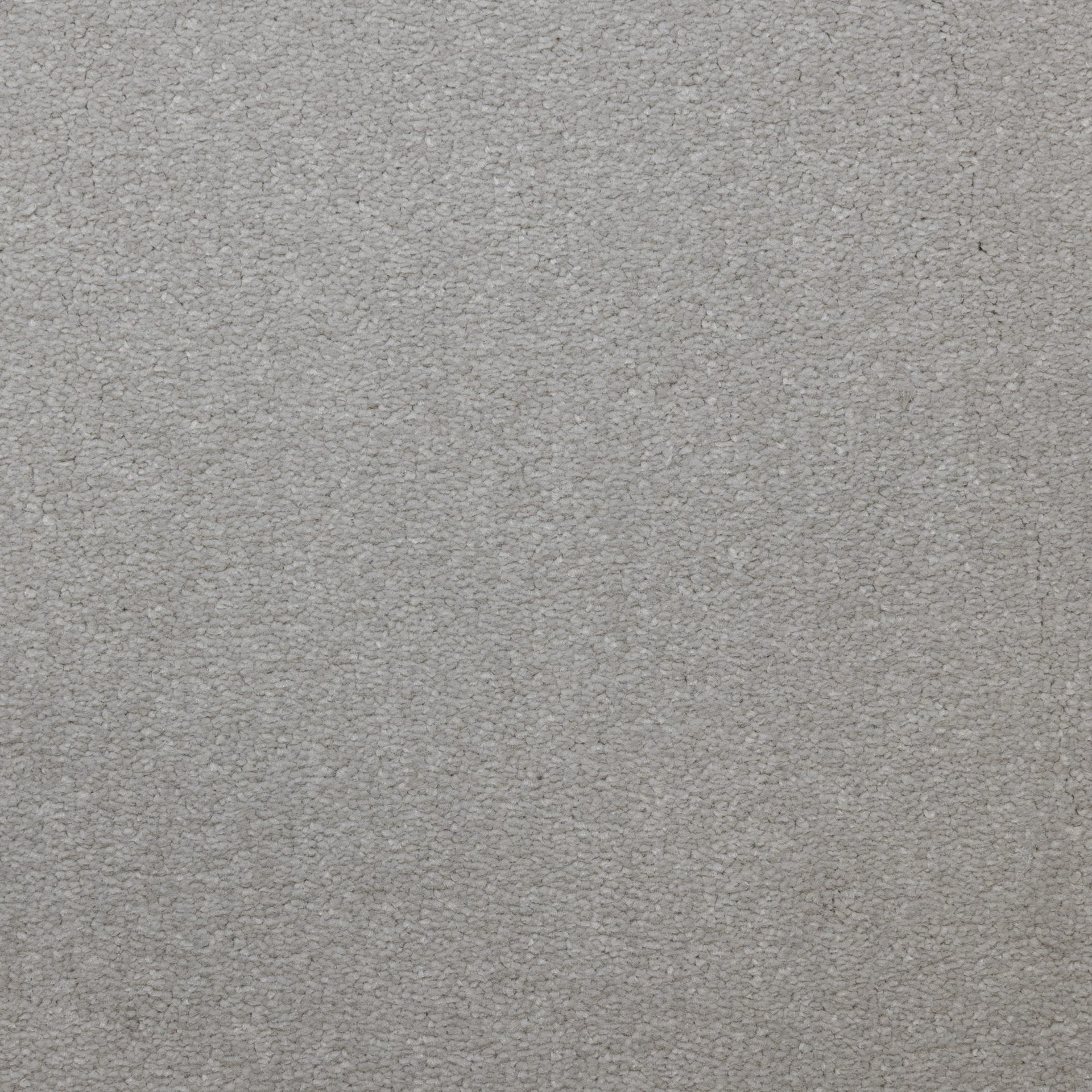 Lazio ( Snowdrift)
