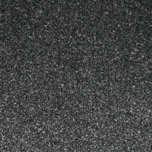 Lazio Gunmetal Grey x