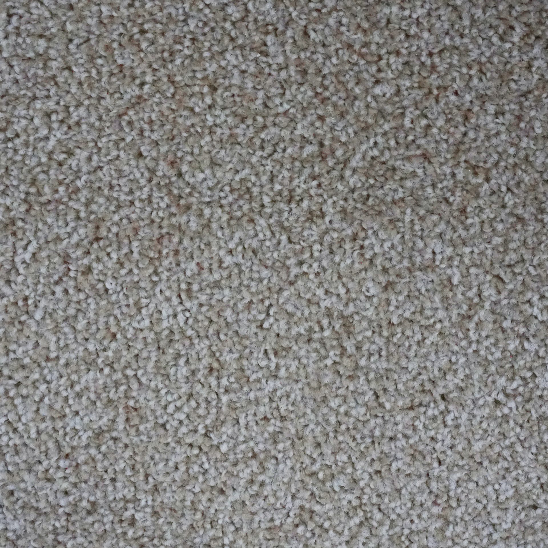 Maestro ( Stone)