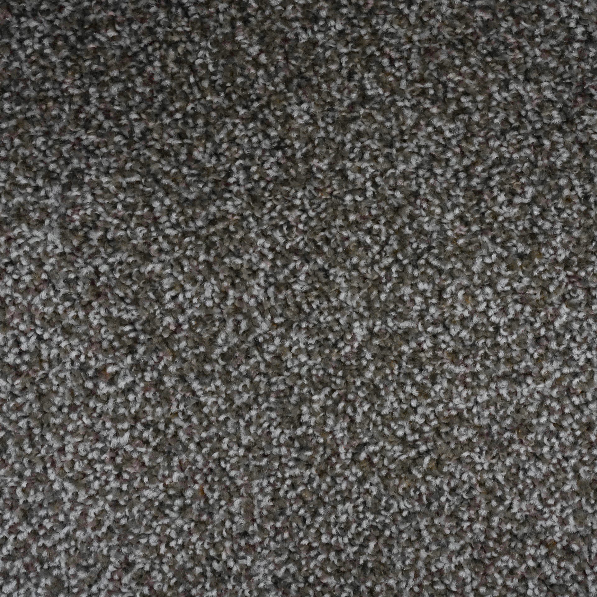 Maestro ( Taupe)
