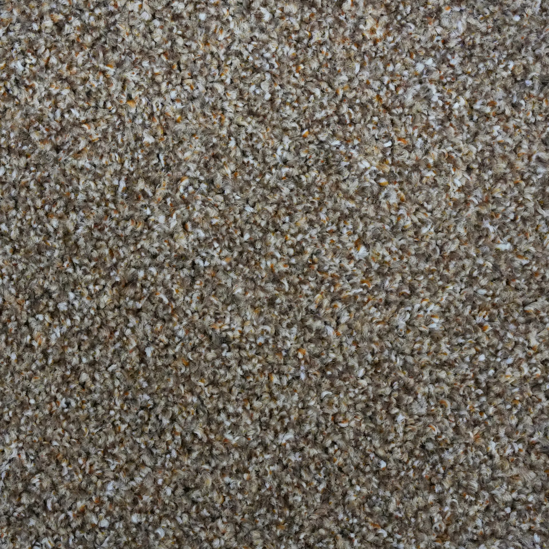 Rustico ( Hazelnut)