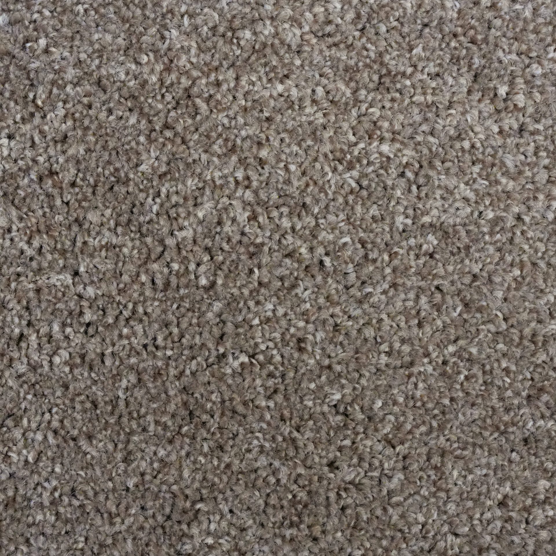 Rustico ( Cream)