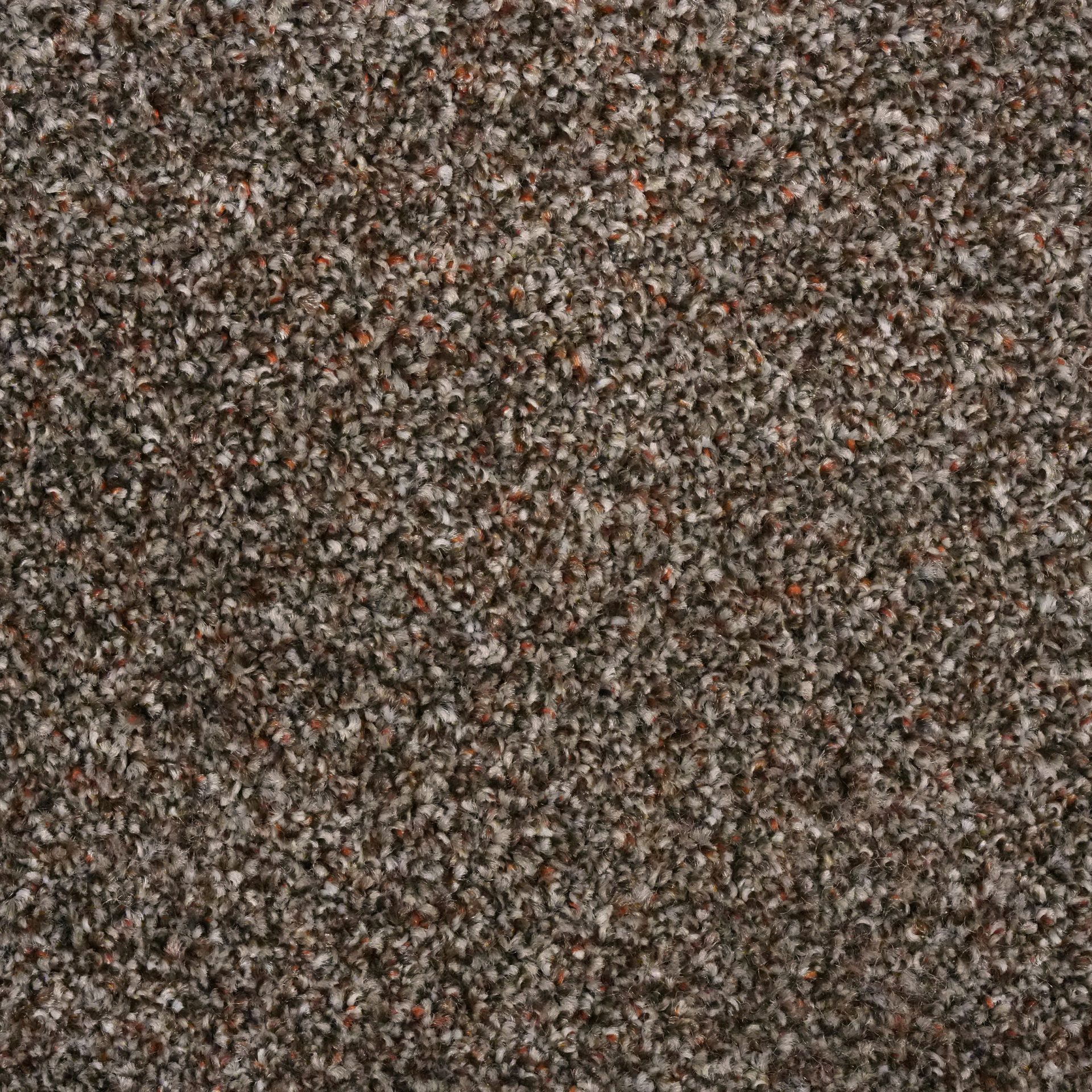 Rustico ( Russet)