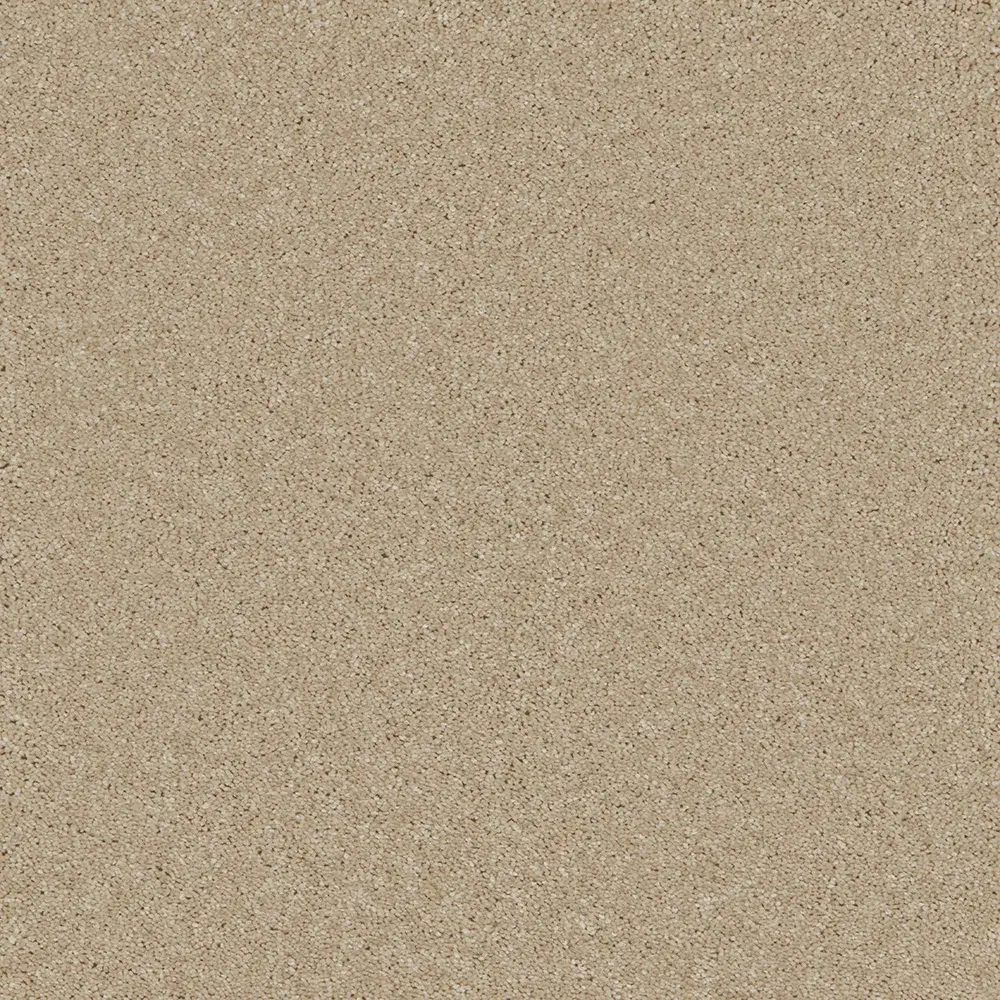 Bliss Coral Reef kvsb