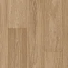 Corymbia SG WEB