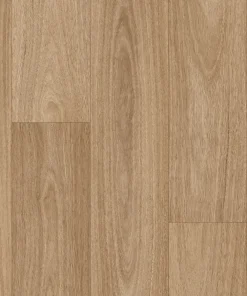 Corymbia SG WEB