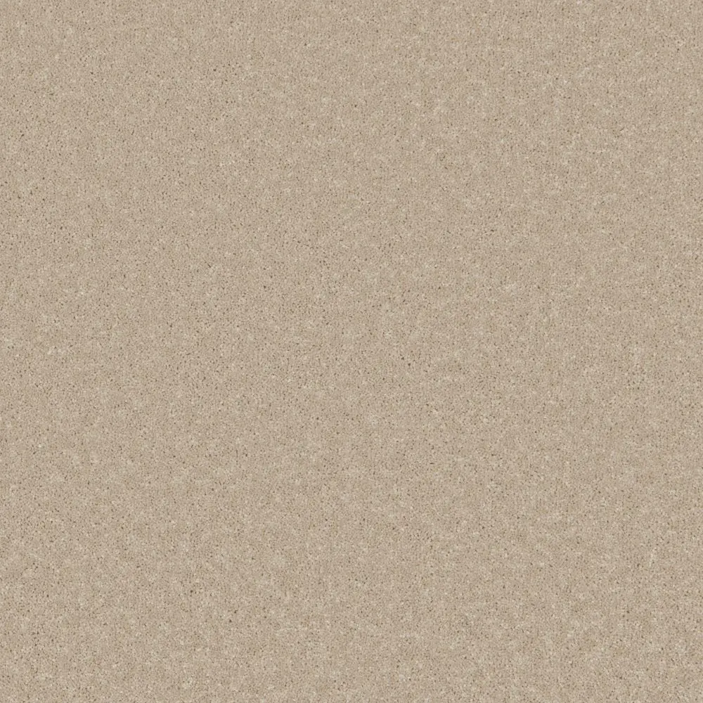 Trident Plains Coral Cove