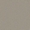 Trident Plains Taupe