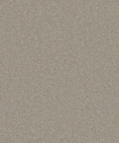 Trident Plains Taupe
