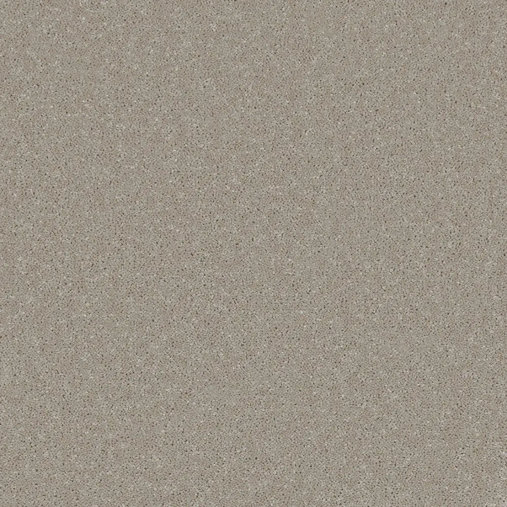 Trident Plains Taupe