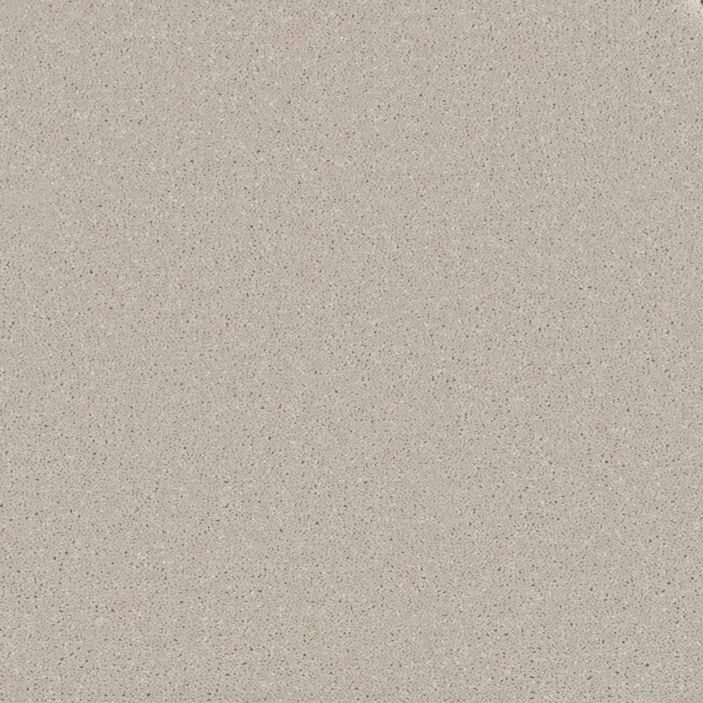 Trident Plains Driftwood Hue