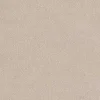 Trident Quicklime Wide
