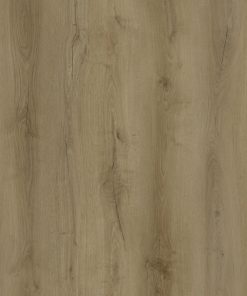 alder oak